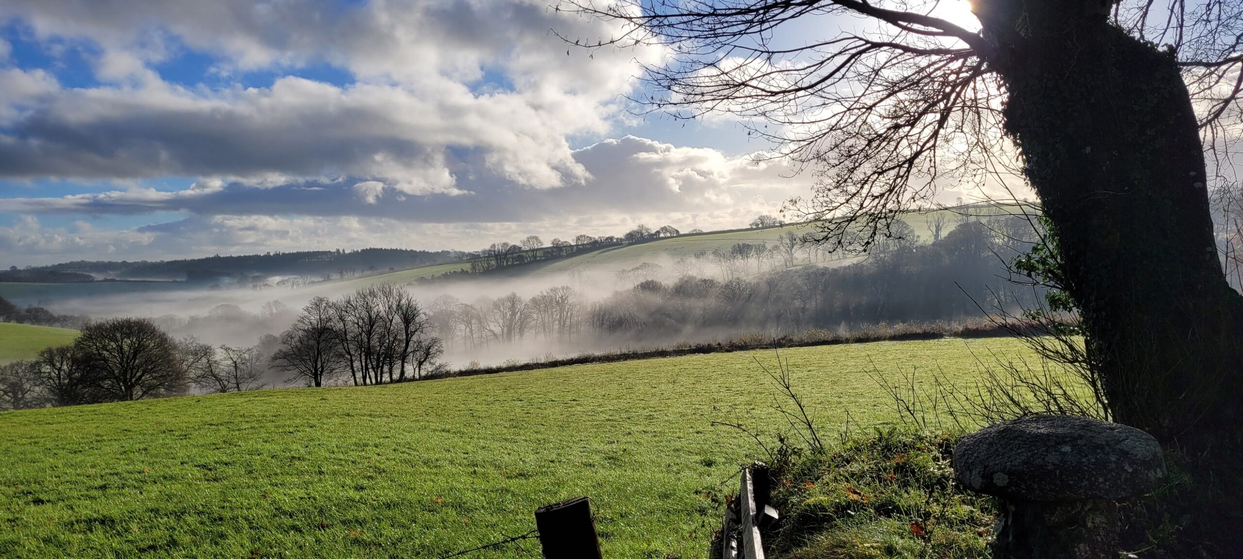 view with a tree trunk in the foreground with rolling hills behind and fluffy white clouds in a blue sky