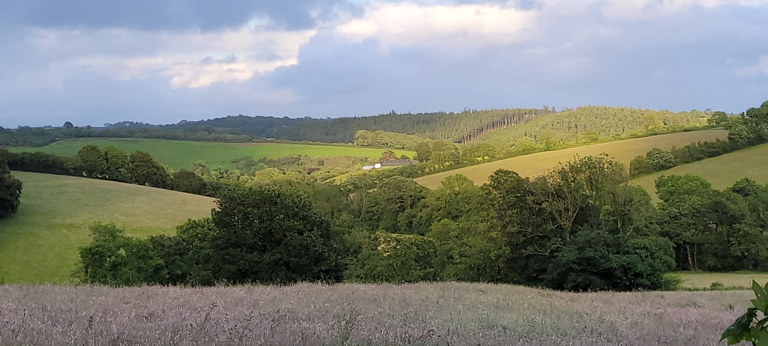 View over a green valley with a bright blue sky