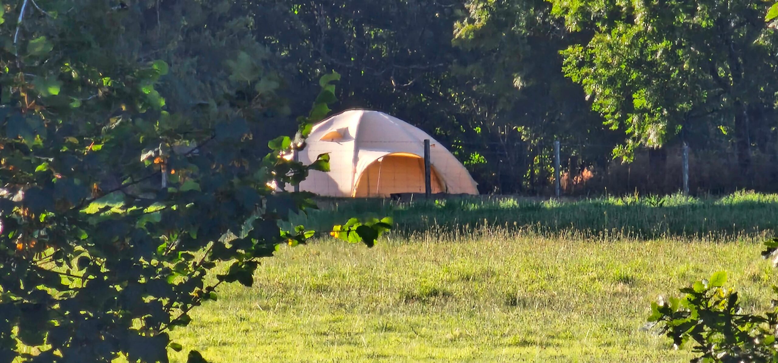 view of a dome tent across a valley with leaves and branches in the foreground