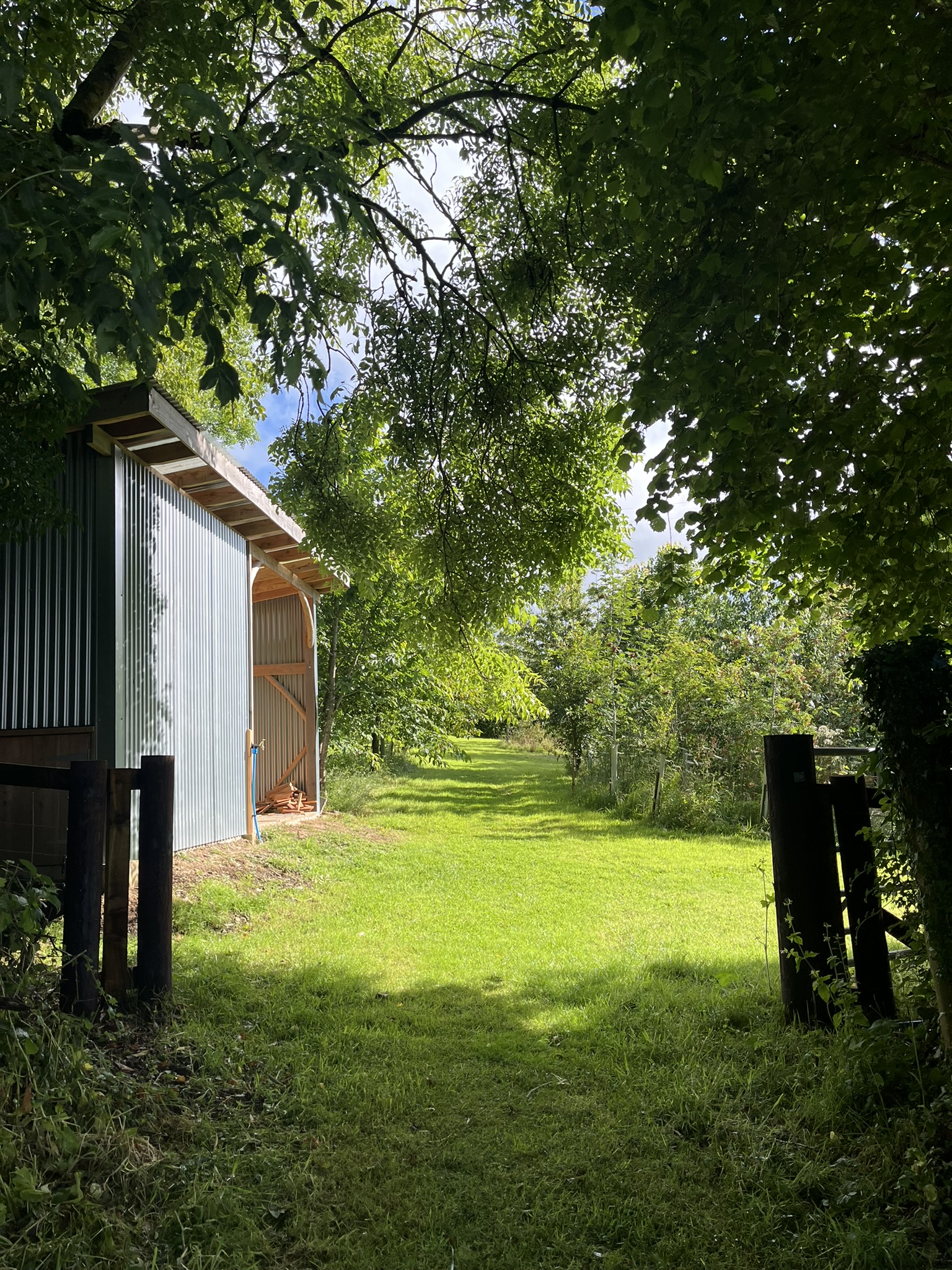 view through the gates of a metal building surrounded by grass and trees